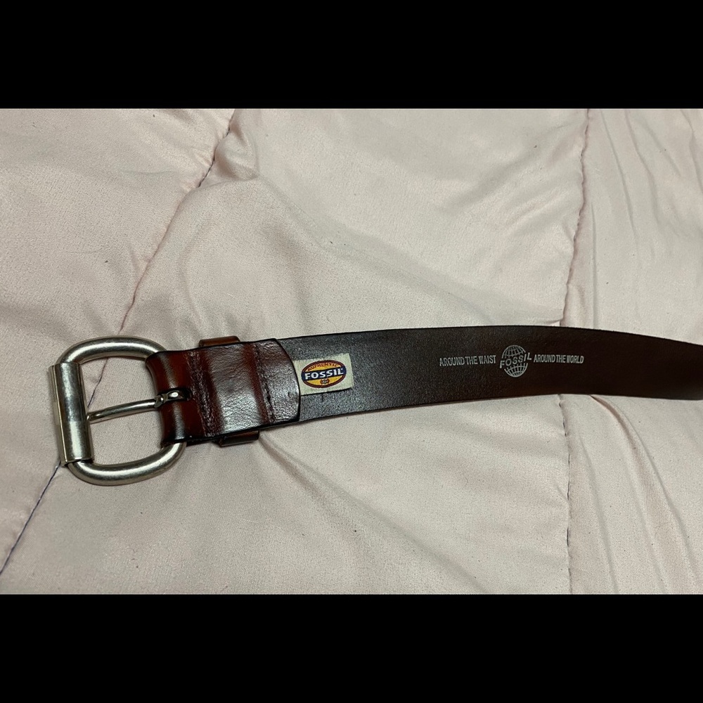 Fossil belt